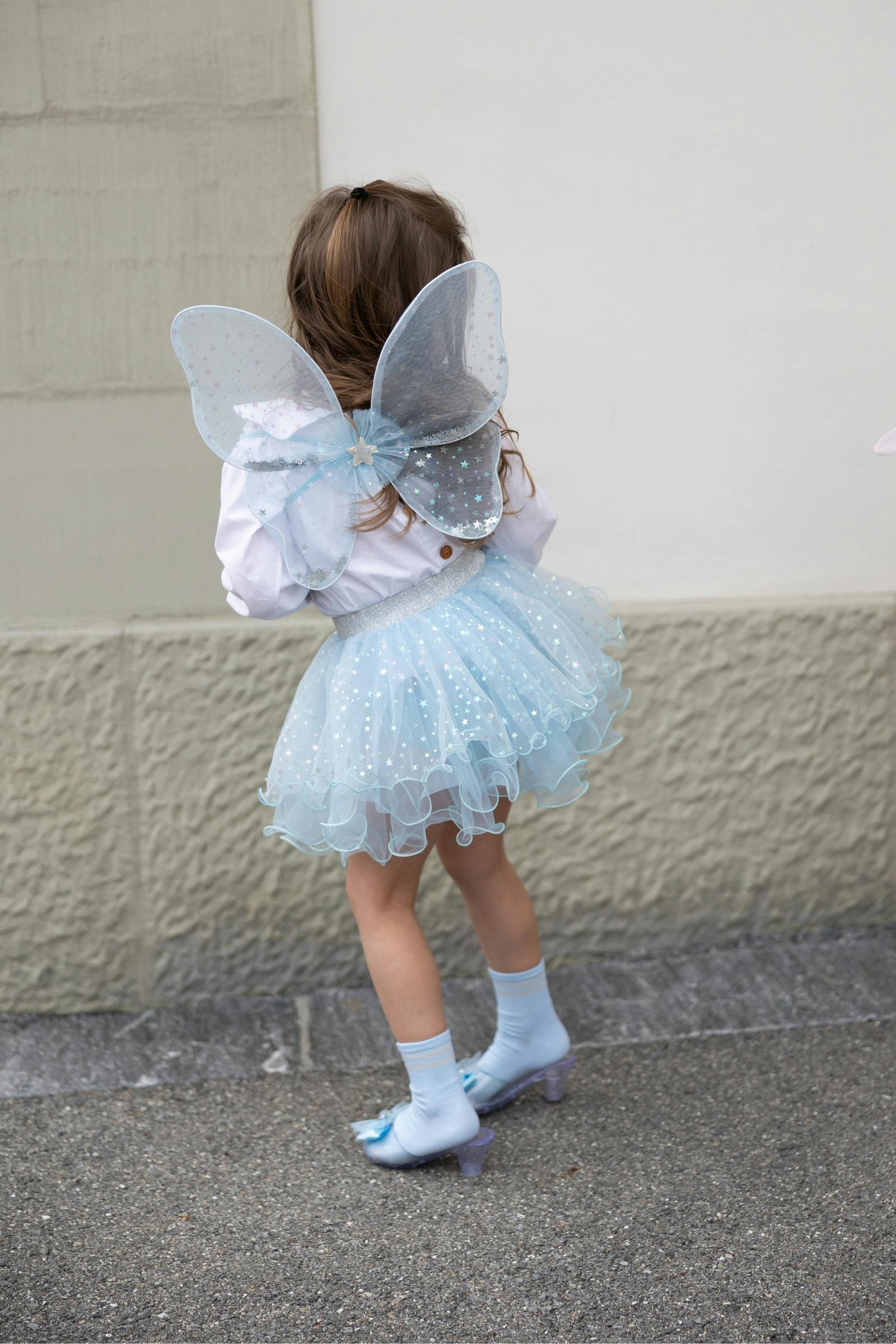 Iridescent Celestrial Fairy Wings, Tutu, Wand