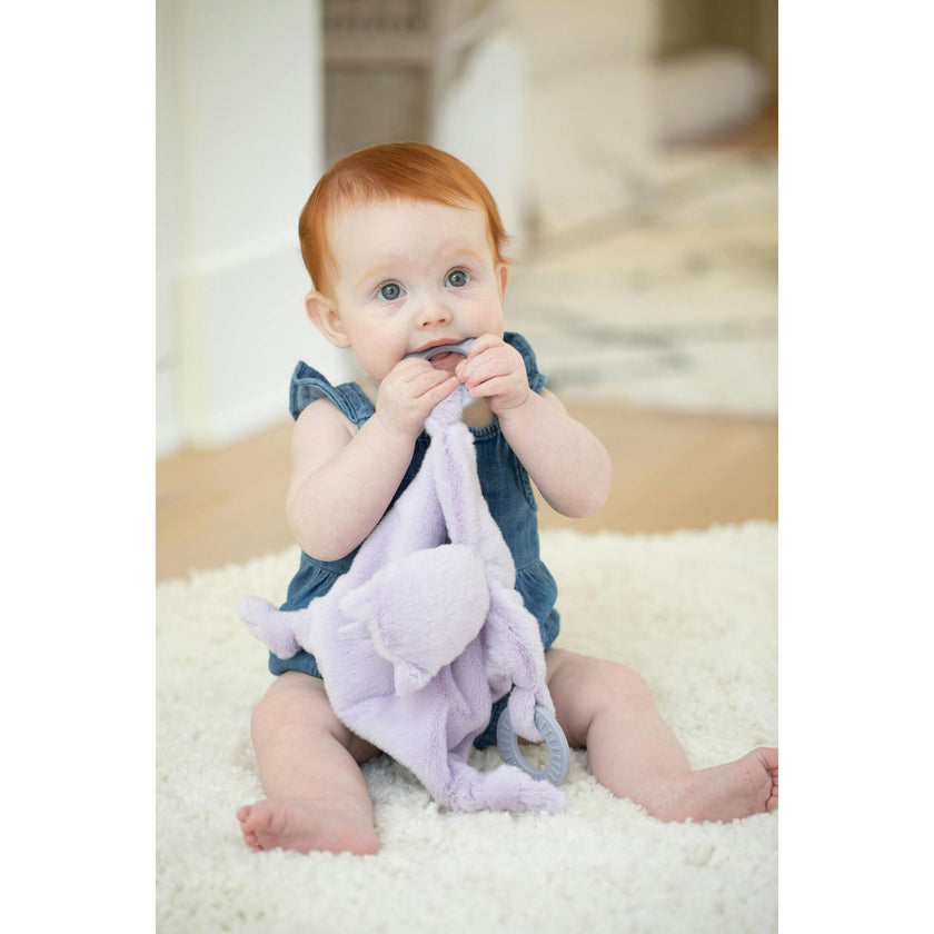 Teether Buddy