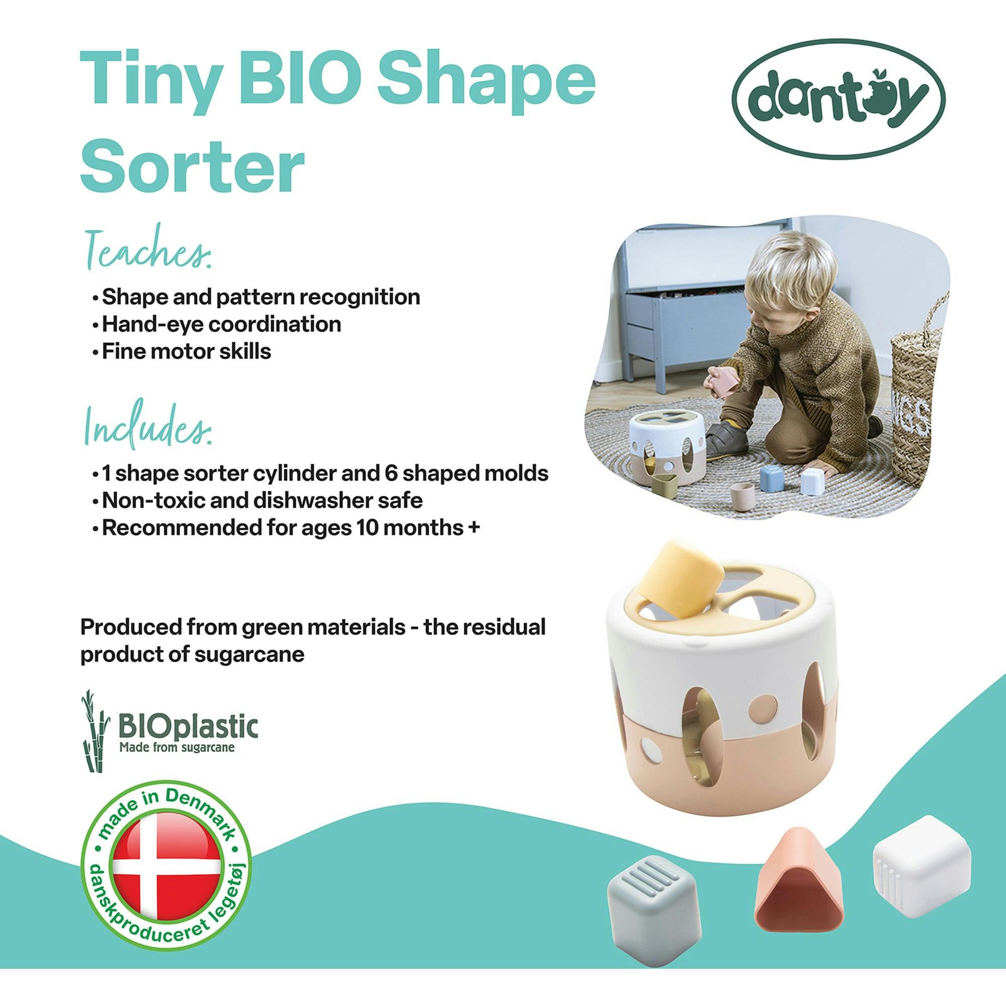Tiny BIO: Shape Sorter