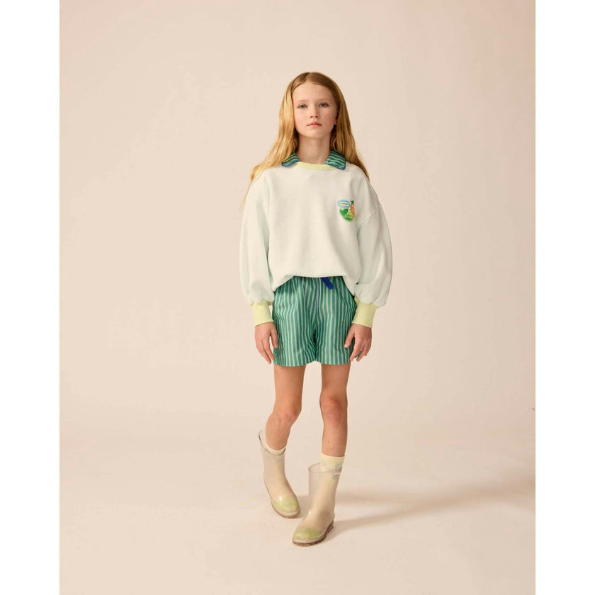 Avenue Shorts in Cucumber Stripe