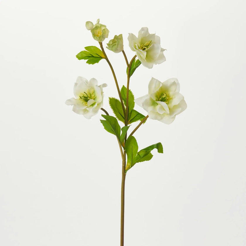 Real Touch Helleborus Stem 24" Single Real Touch Faux Floral Spray