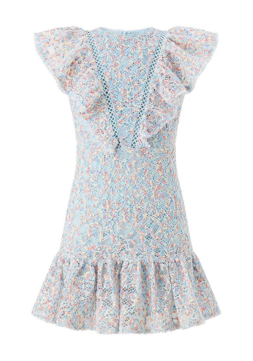 Ryleigh Embroidered Mini Dress