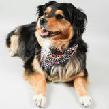 Neckwear, Florals