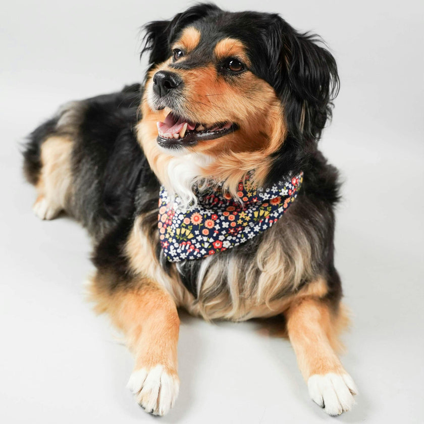 Neckwear, Florals