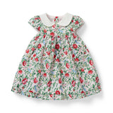 Baby Ditsy Floral Collared Dress, multicolor