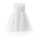 Baby Daisy Tulle Dress
