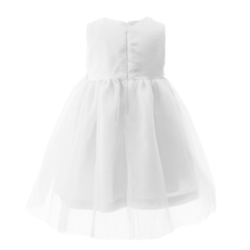 Baby Daisy Tulle Dress