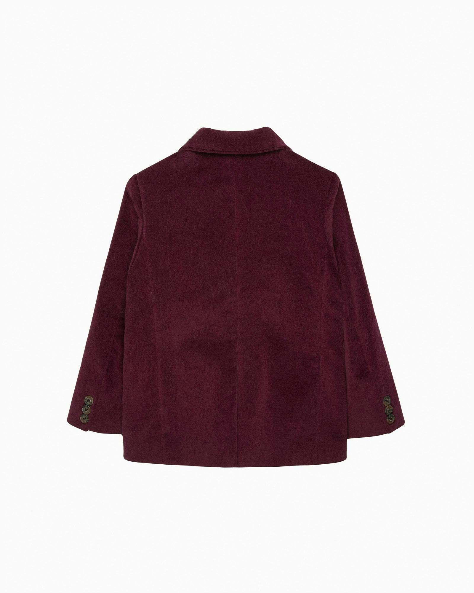 Hamish Velvet Blazer in Claret