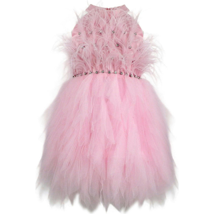 Pink Princess Feather Dress