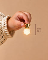 Premium Lighting · Collection