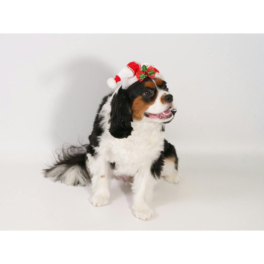 CHRISTMAS HAT - RED RIBBON W/ HOLLY LEAVES, Red