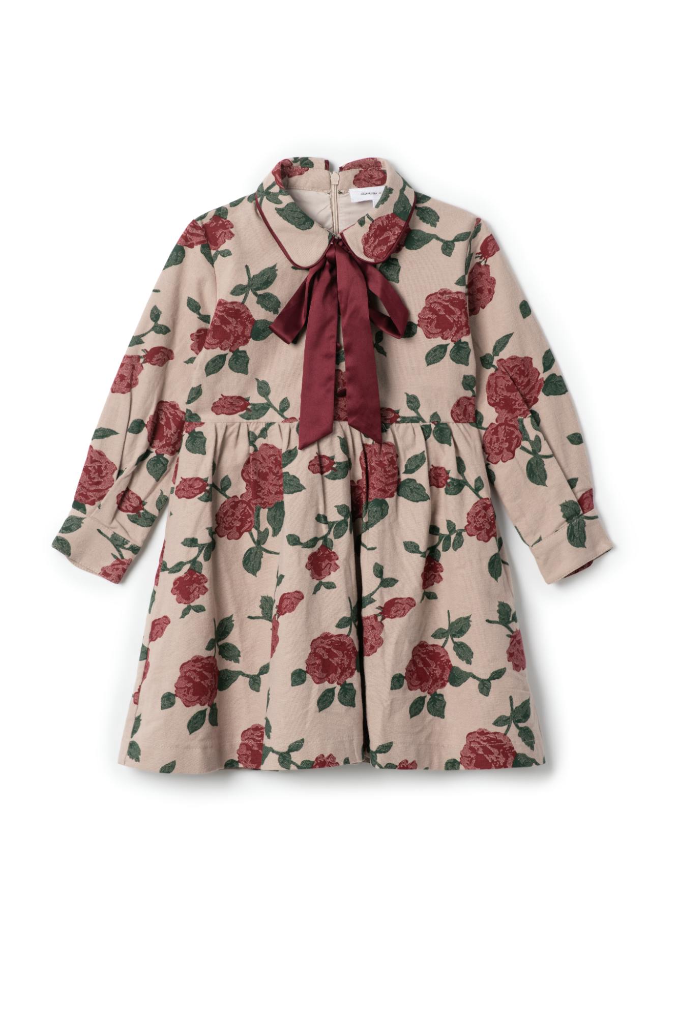Printed Woven Elastic Waist Dress