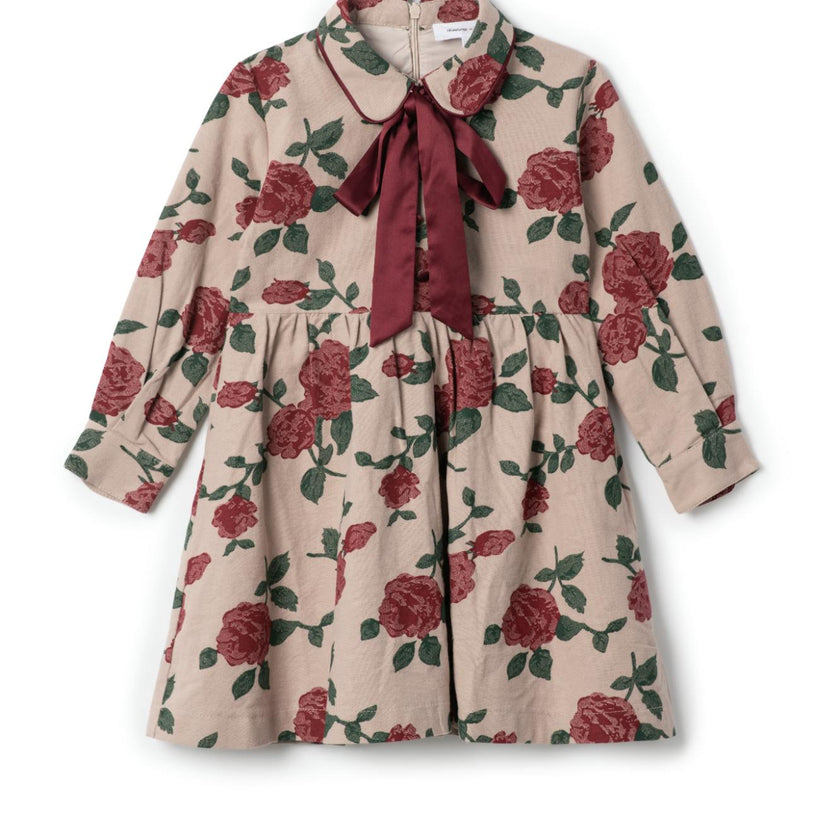 Printed Woven Dress