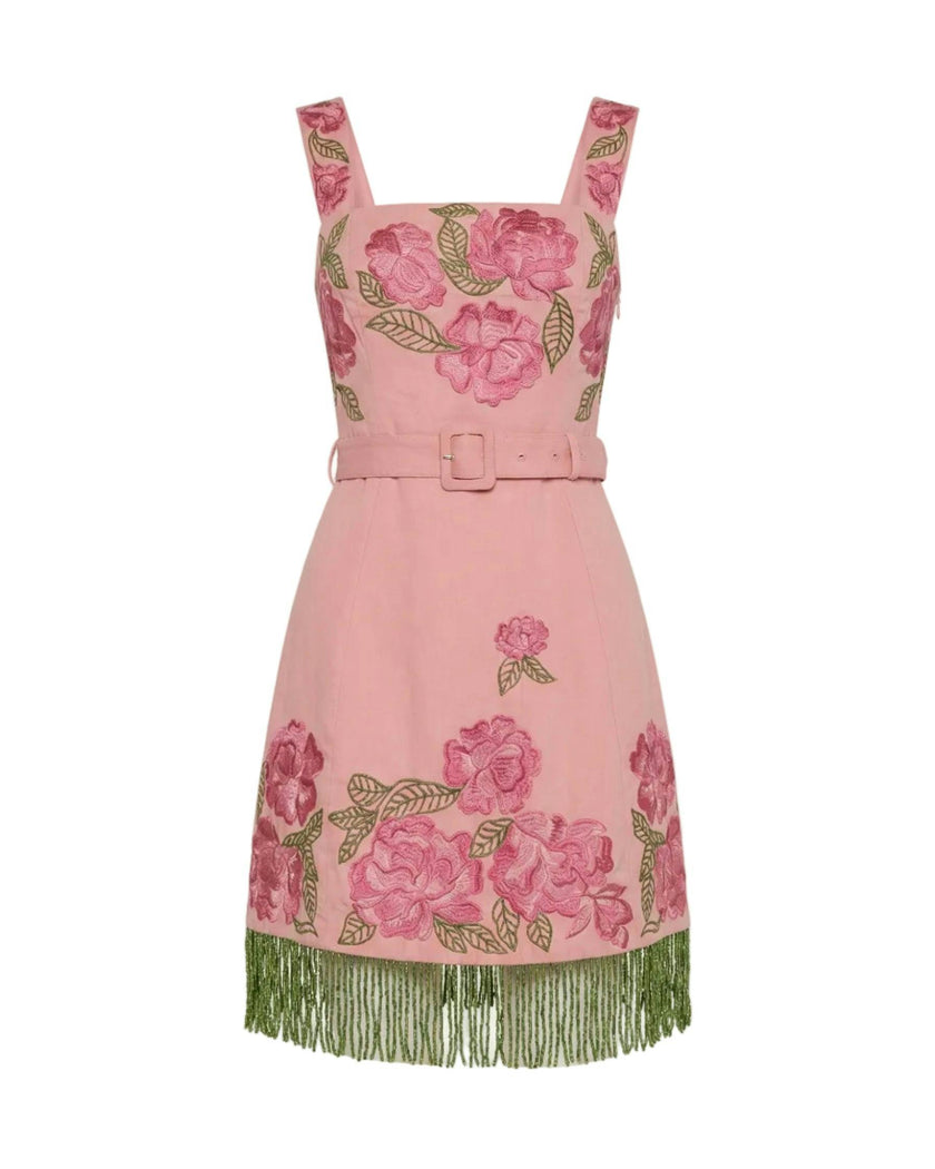 Sarah Bird Mini Dress