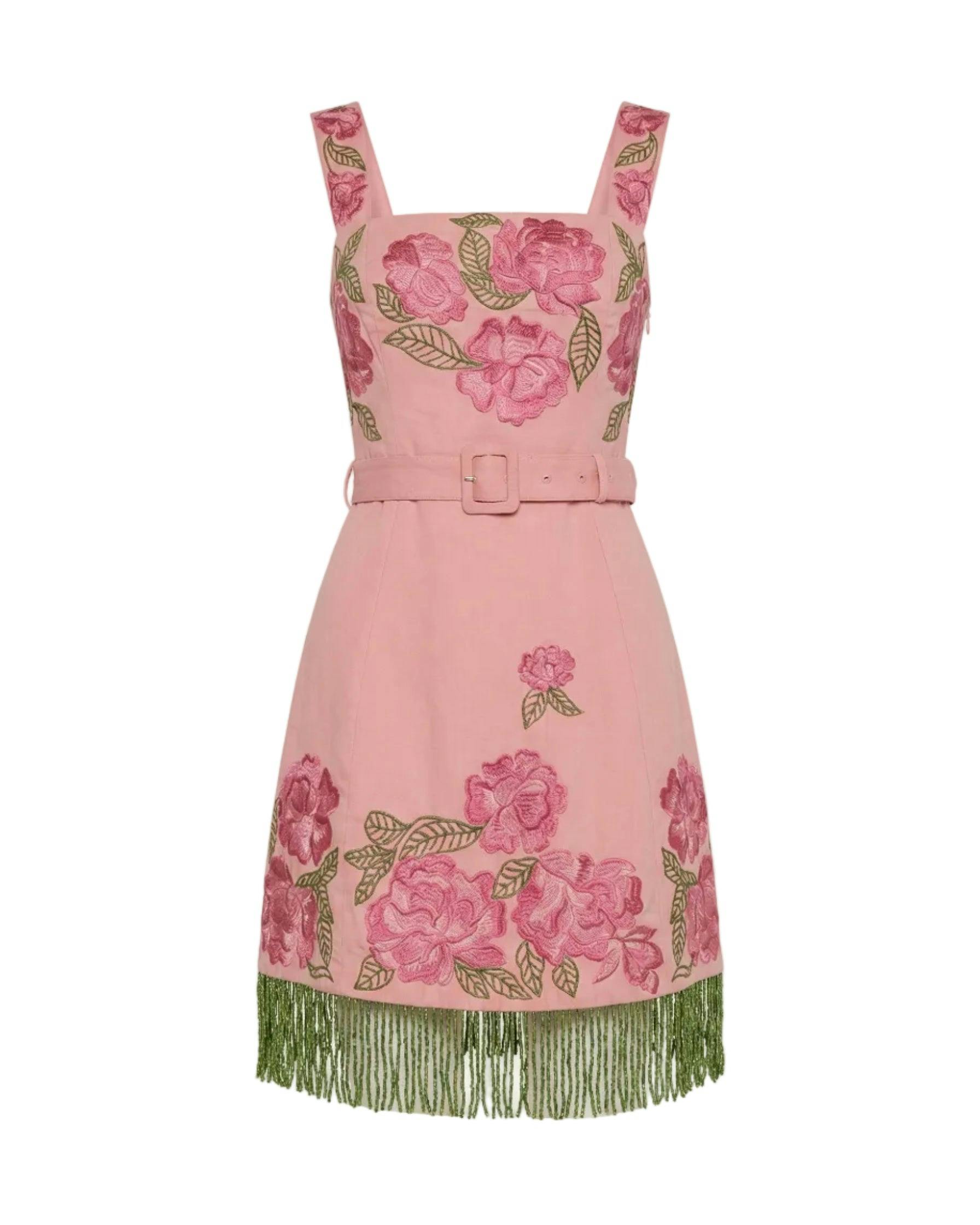 Sarah Bird Mini Dress