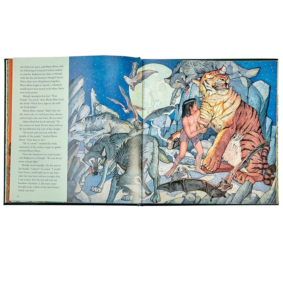 The Jungle Book Leather Bound Classic Children's Book
