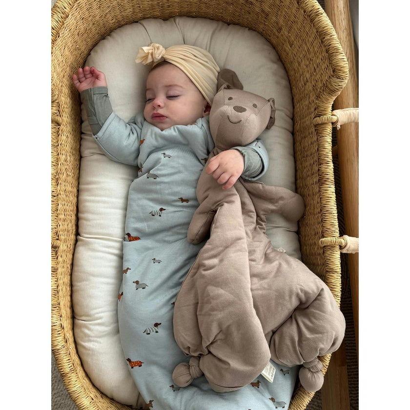 Long Sleeve Transitional Swaddle