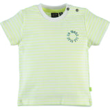 Striped Short Sleeve T-Shirt