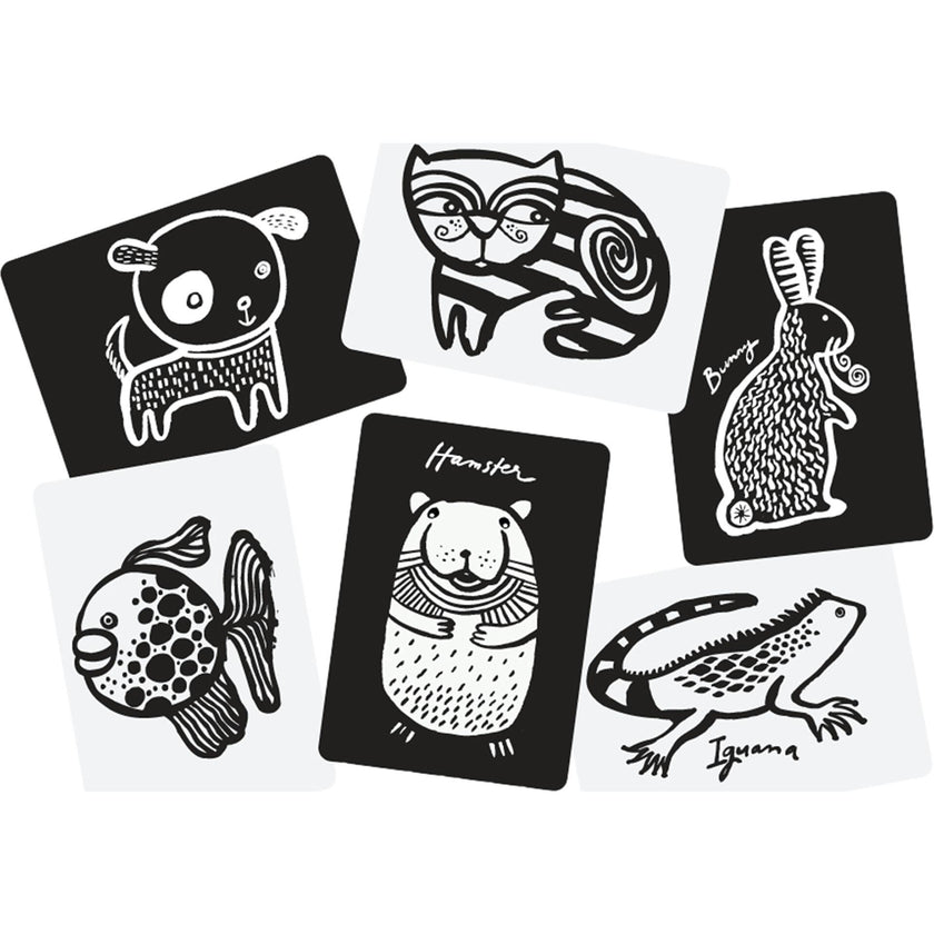 Pets Art Cards for Baby