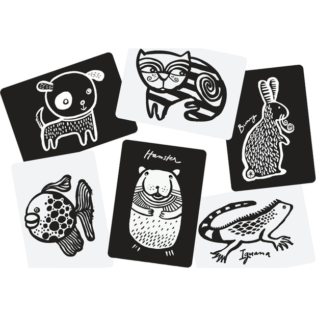 Pets Art Cards for Baby