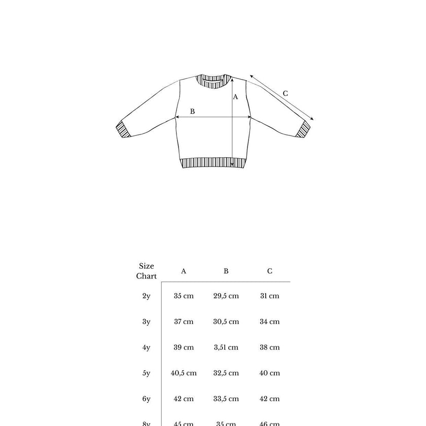 Sean Sweater