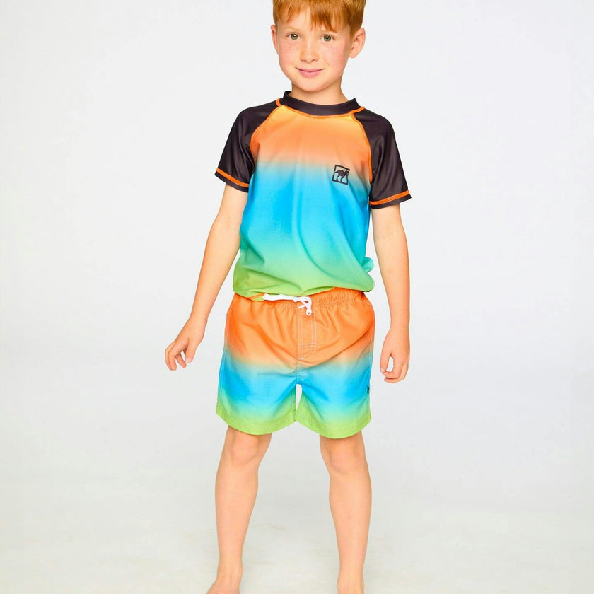 Boardshorts
