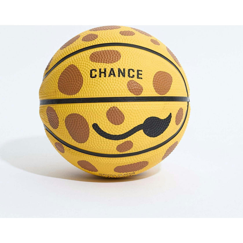 Geoff Mini Basketball (17")