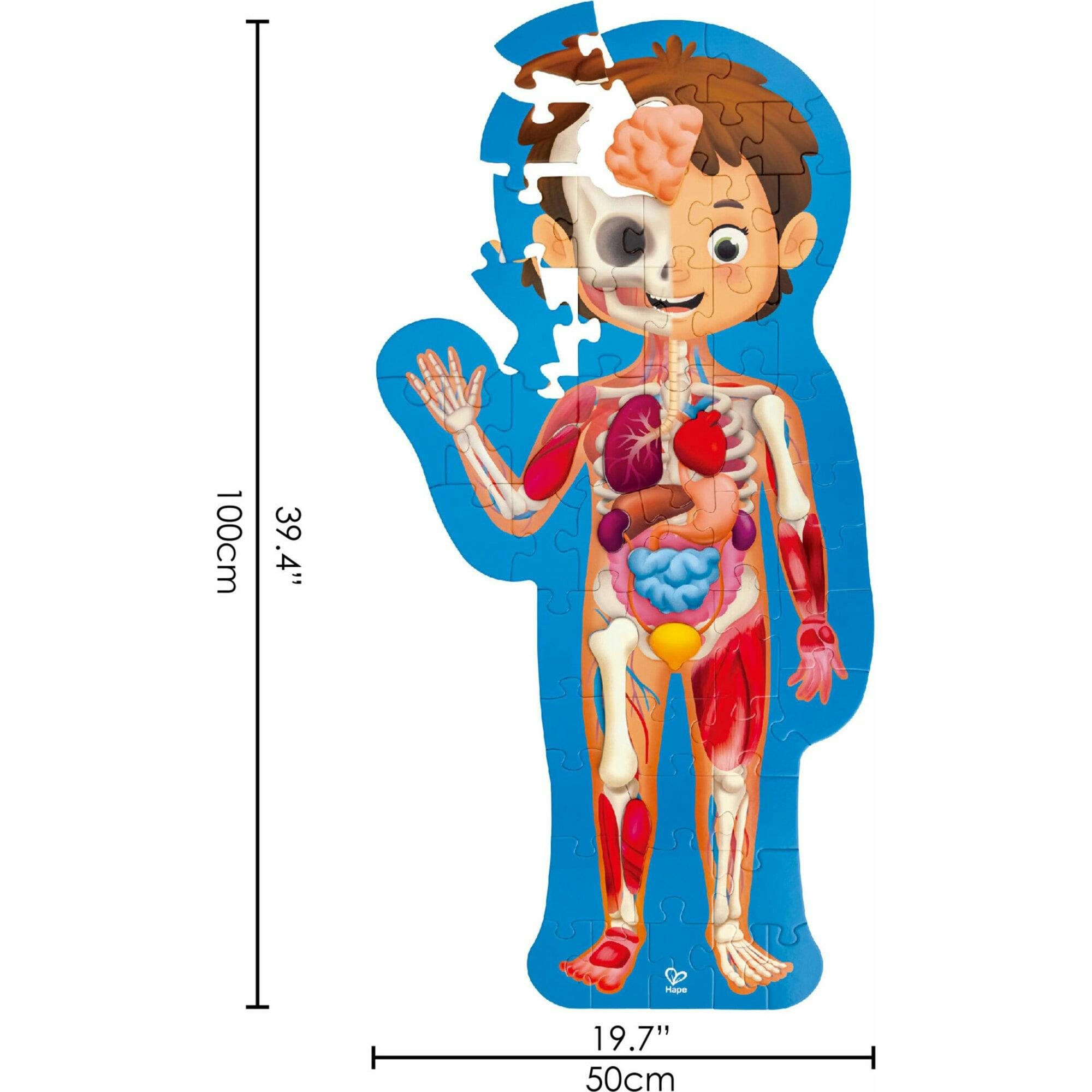 Human Body Jigsaw Puzzle