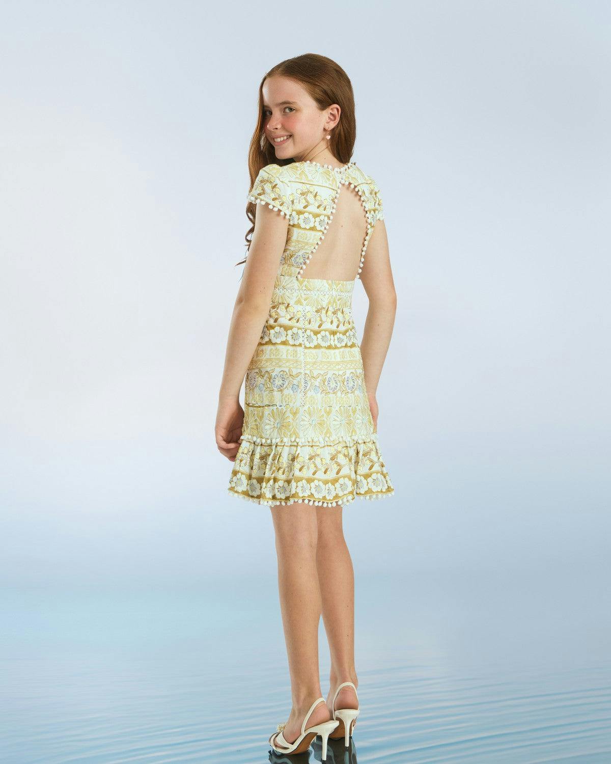 Lara Embroidered Mini Dress