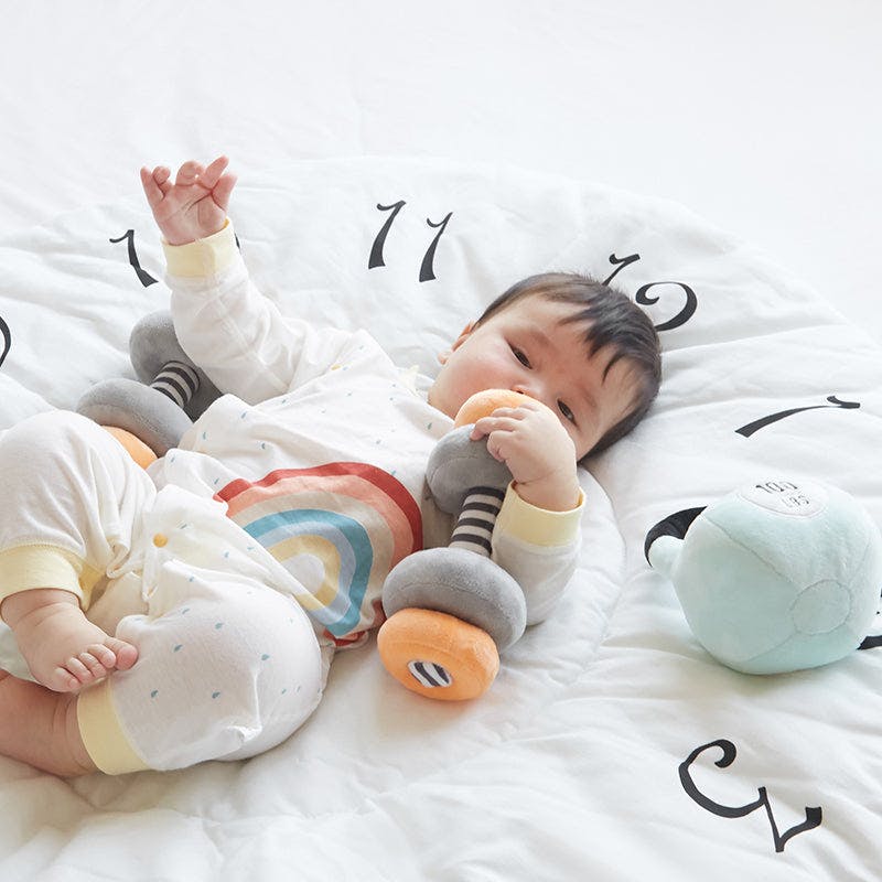 Little Lifter Plush Weights