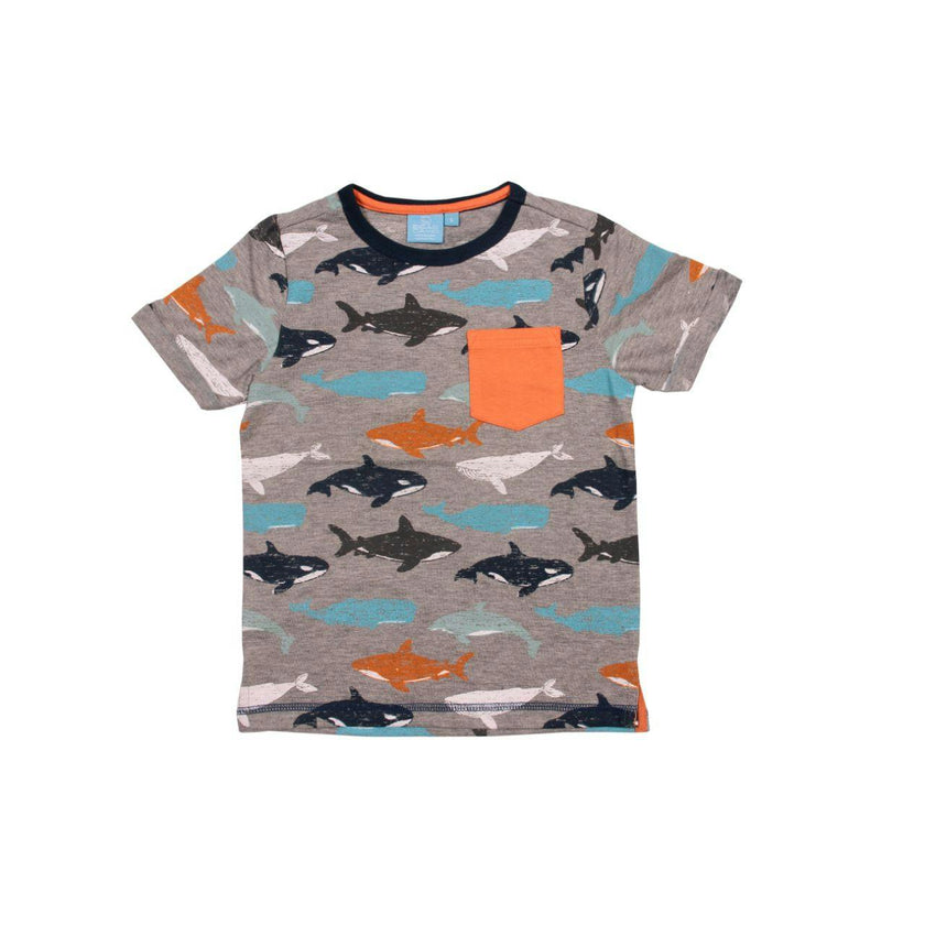 Aldo Whale Tee Boy
