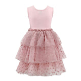 Sleeveless Tired Tutu Dress