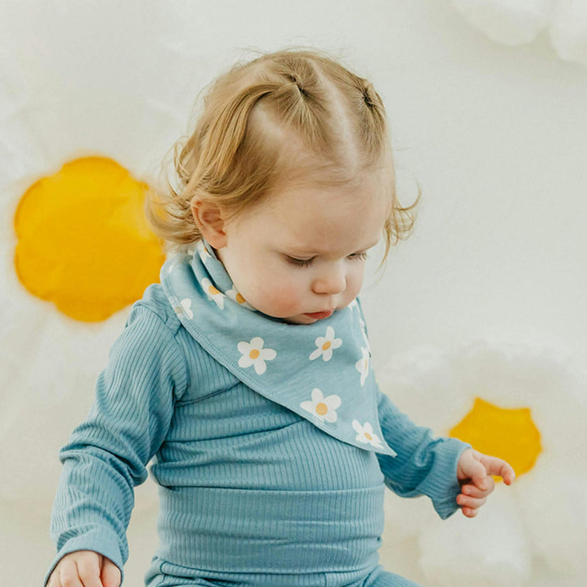 4 Pack Baby Bandana Bibs - Goosie
