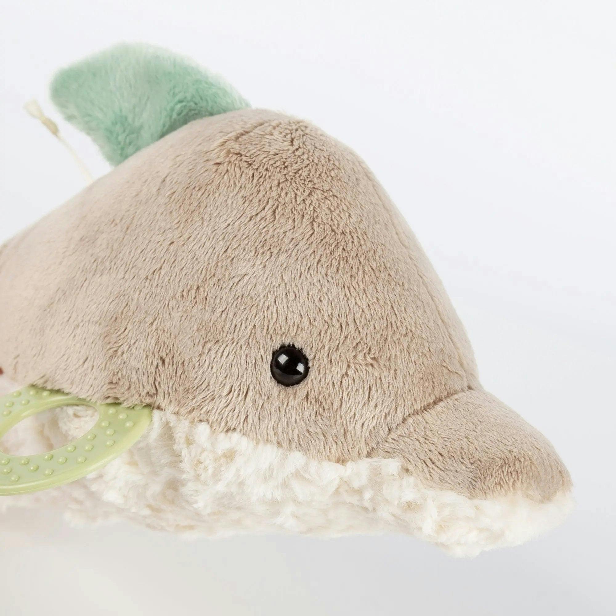 Dolphin Activity Toy
