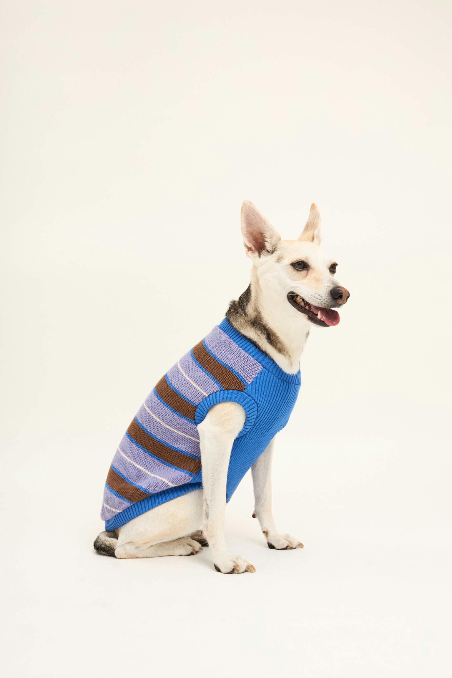 dog sweater - kopenhagen stripes
