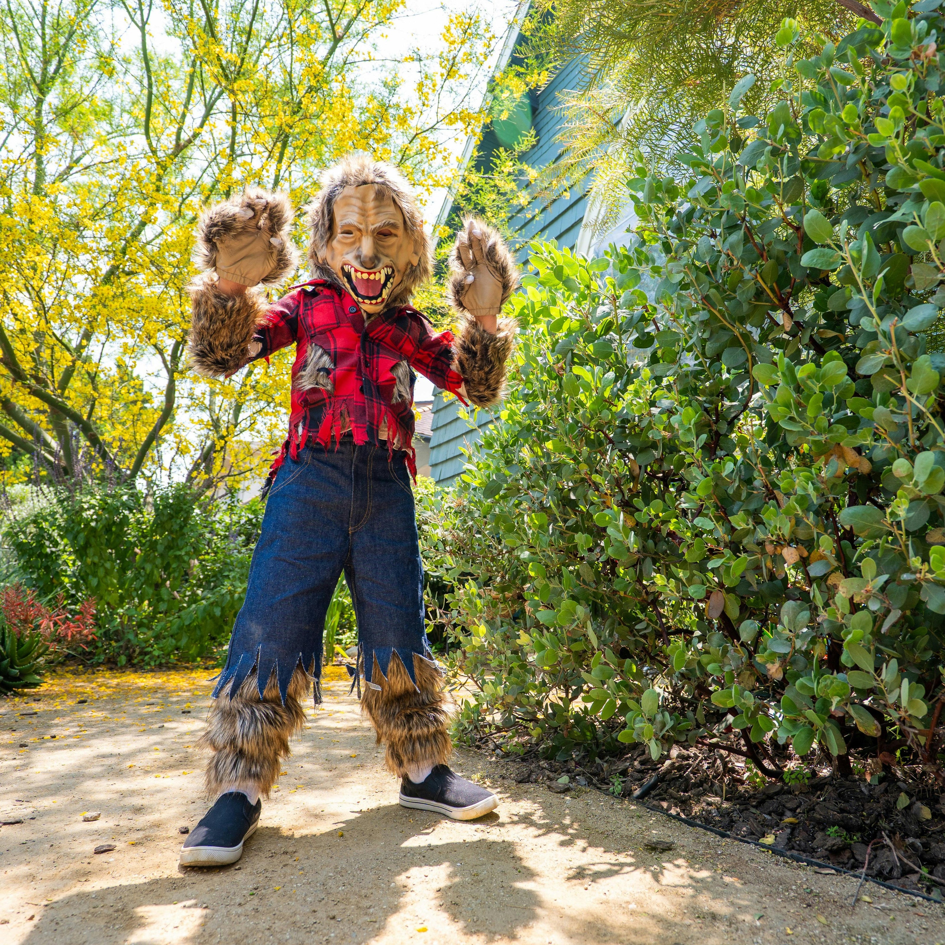 A Leading Role Signature Werewolf Child Dress Up