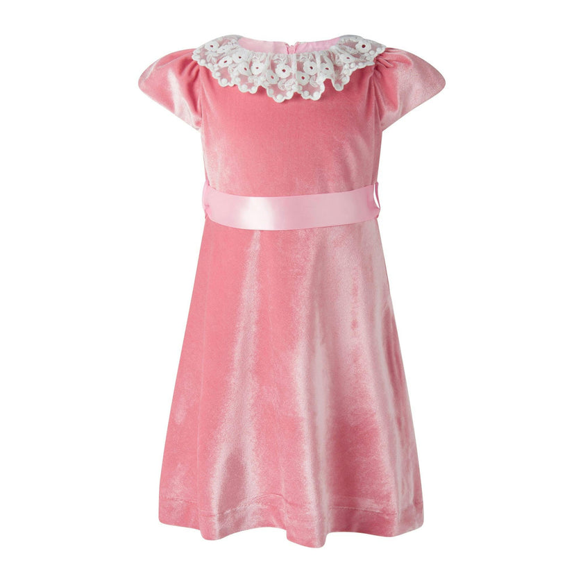 Lace Collar Velvet Dress