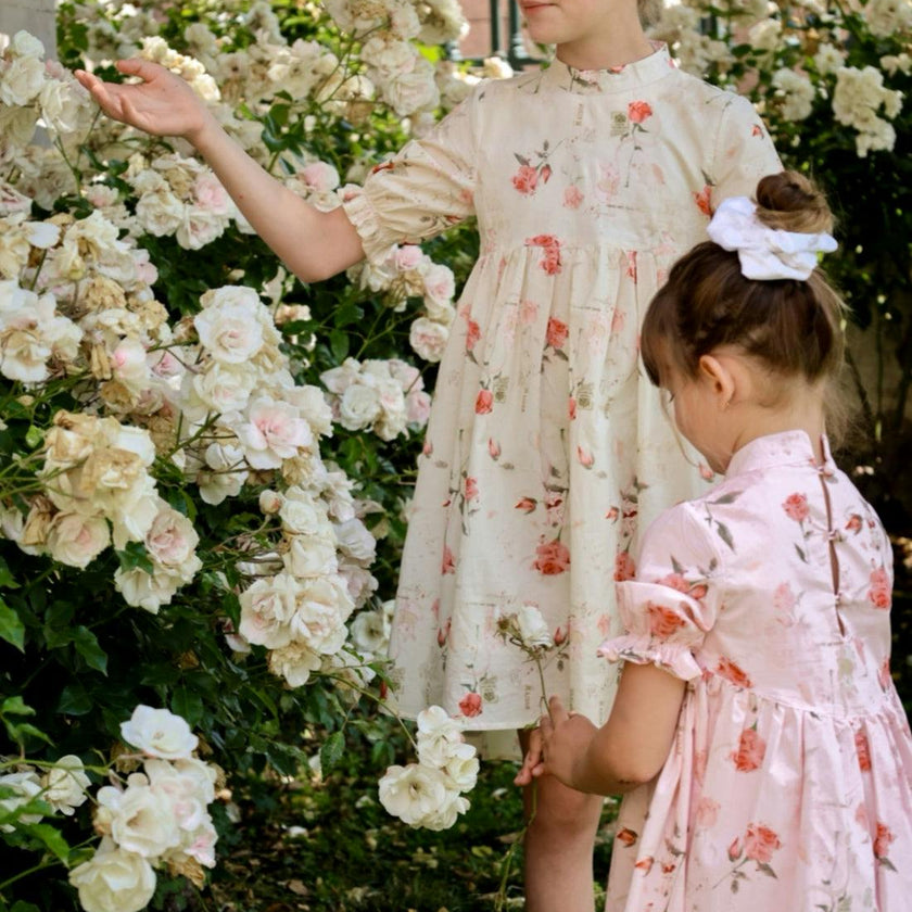 The Madeleine Dress | Blush Rose