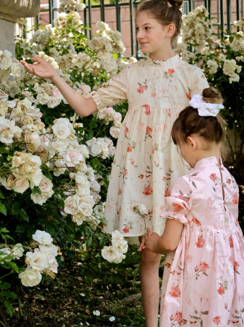 The Madeleine Dress | Blush Rose
