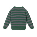 Toddler & Kids Boys Graphic Sweater | Polar Bear - Green