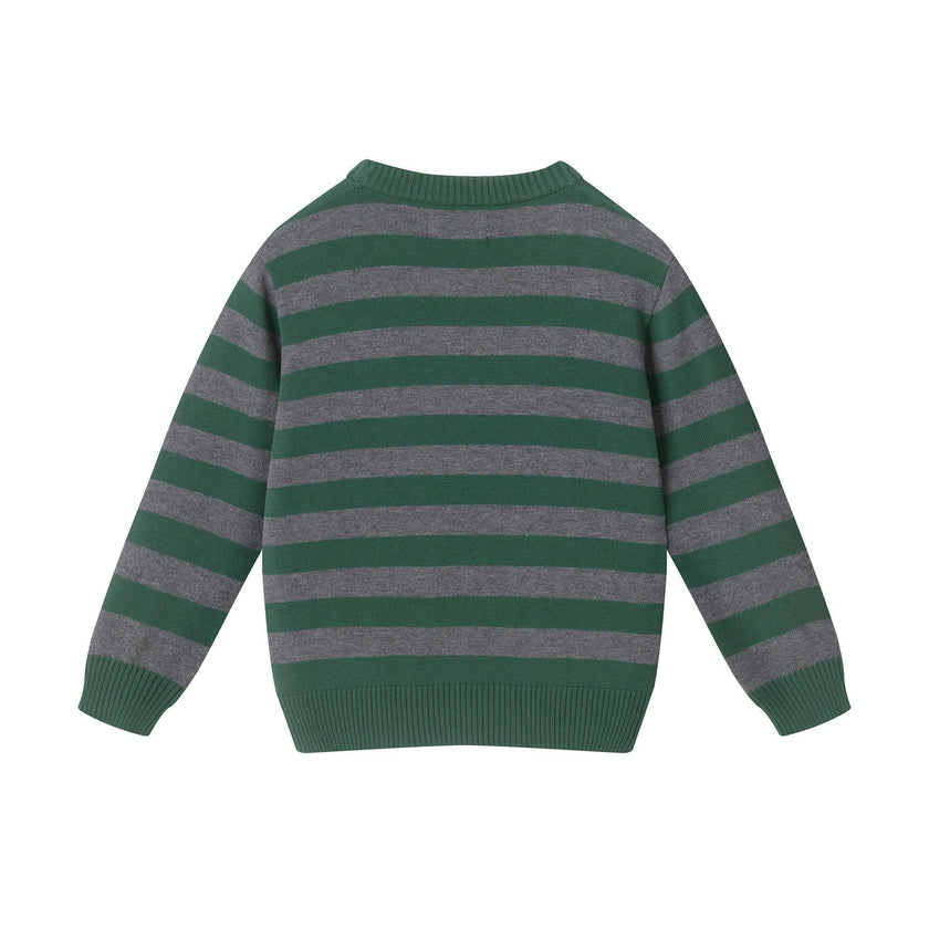 Toddler & Kids Boys Graphic Sweater | Polar Bear - Green