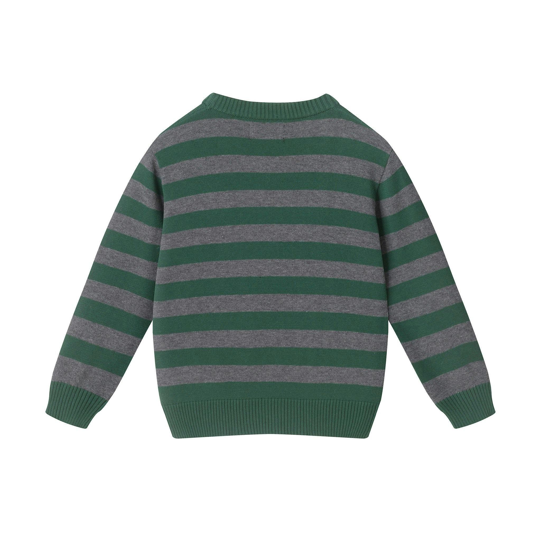 Toddler & Kids Boys Graphic Sweater | Polar Bear - Green
