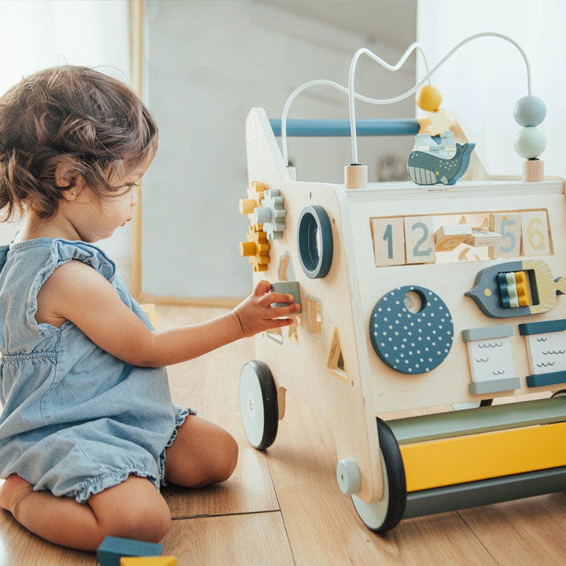 Busy Busy Baby Walker