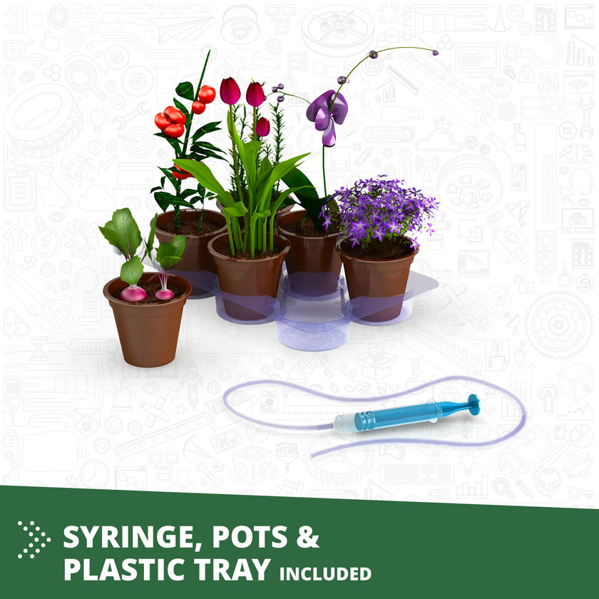 Discovering STEM: Botanic Laboratory