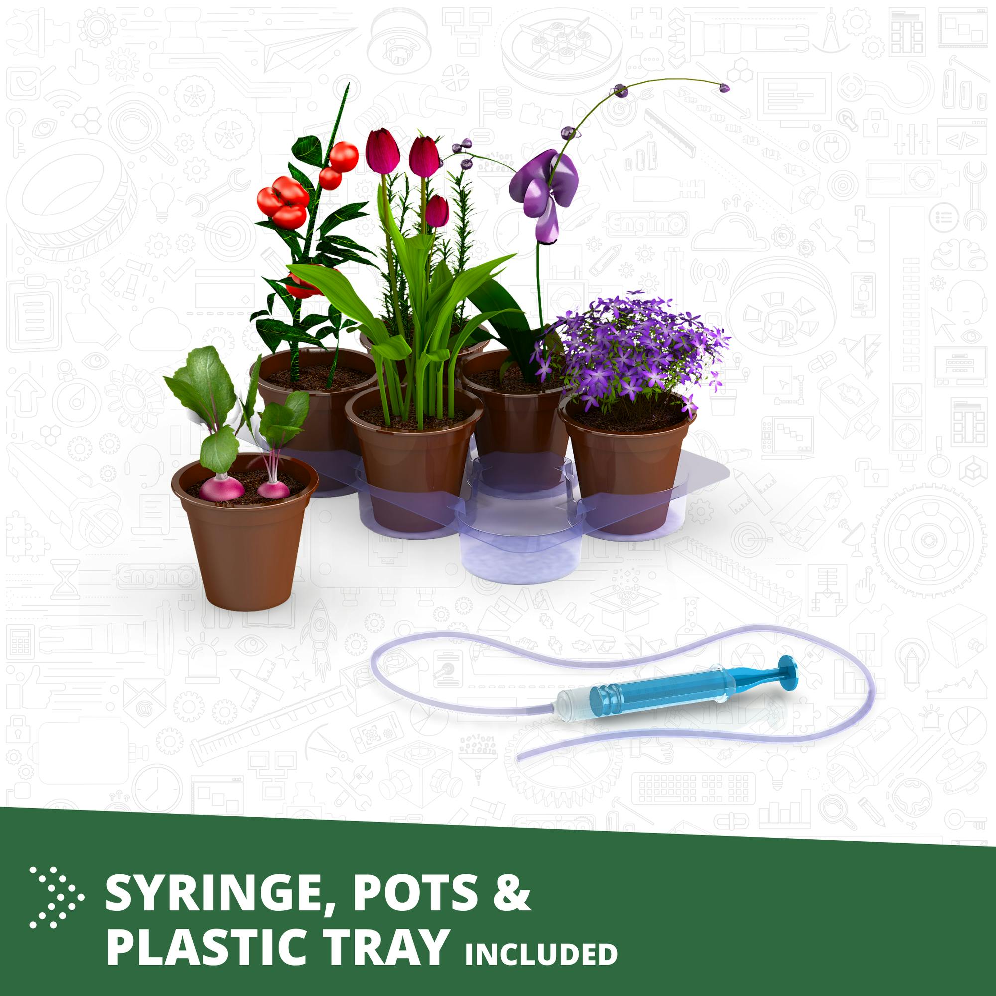 Discovering STEM: Botanic Laboratory