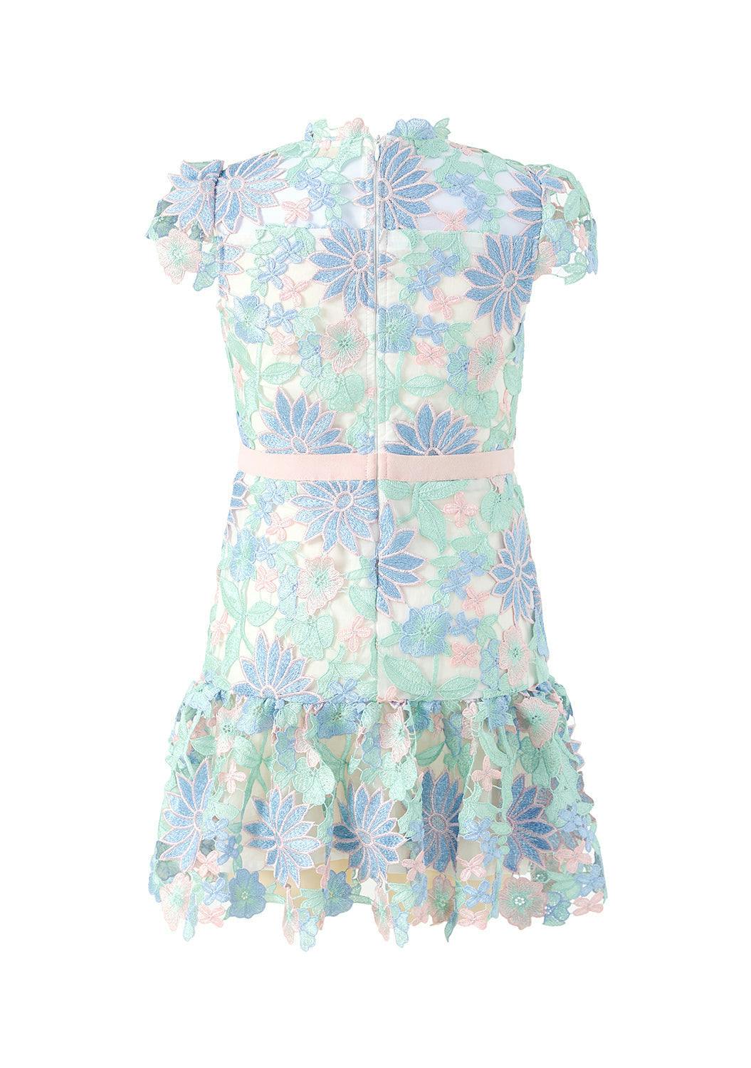 Addison Embroidered Mini Dress