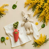 Gift Box Rabbit & Carrot 🥕🐰 100% organic cotton crochet rattle and lovey plush