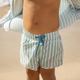 boys tamarin stripe boardie