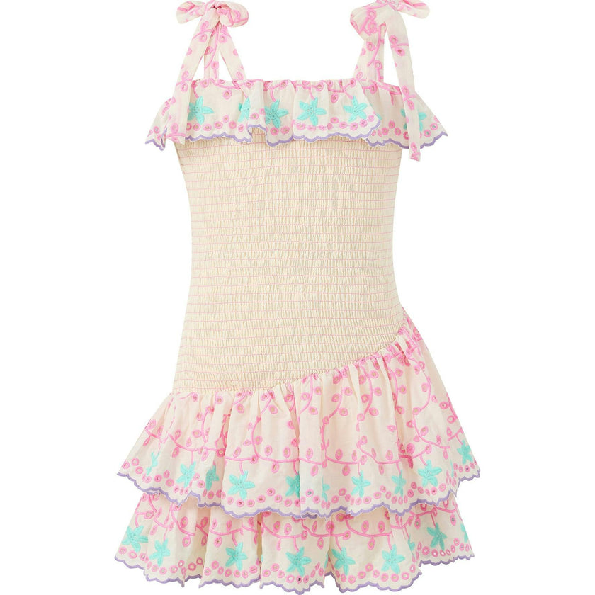 Alanna Shirred Embroidered Mini Dress