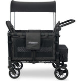 Elite Double Wagon Style Stroller